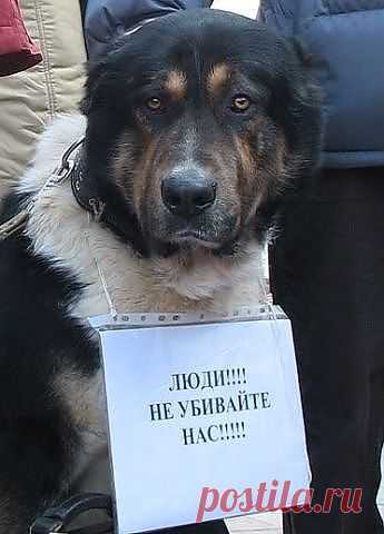 просьба