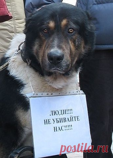 просьба
