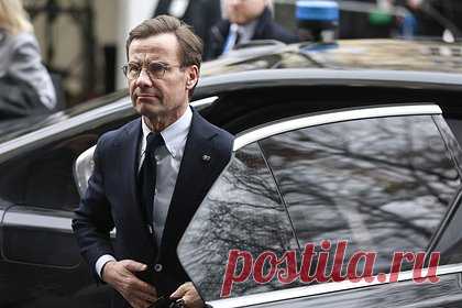 Член Совфеда уличил шведского премьера в желании вернуться к допетровским временам