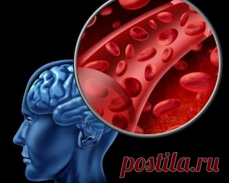 Улучшаем кровообращение головного мозга