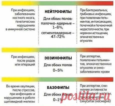 = АНАЛИЗ КРОВИ = ВАЖНО самим понять что и как,
а не надеяться на нынешних малограмотных врачей-рвачей,
которые диагнозы ставят по интернету и даже латыни не знают
(уж не говоря о клятве Гиппократа)
 Стандартный пример: 
врач, быстренько и равнодушно взглянув на результаты, 
с псевдоумным видом объявляет: 
«С вами всё нормально» или «Вы больны»...,
но между этими диагнозами может быть или пропасть,или шаткое равновесие...
Для несложного ликбеза и понимания - сохраните себе - пригодится: