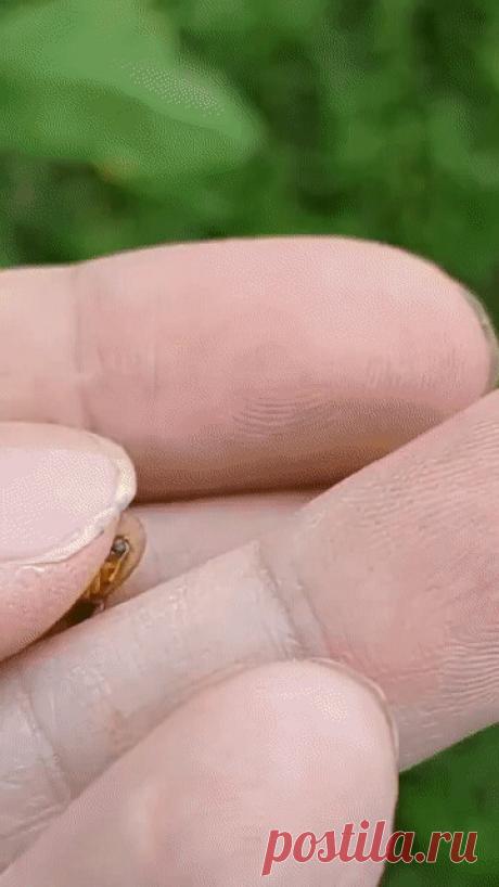 Этот удивительный Мир — Разное | OK.RU