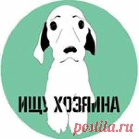 ПОМОЩЬ ЖИВОТНЫМ МОСКВА (@animalsmoscowfree) • Фото и видео в Instagram 24.6 тыс. подписчиков, 6,836 подписок, 1,402 публикаций — посмотрите в Instagram фото и видео ПОМОЩЬ ЖИВОТНЫМ МОСКВА (@animalsmoscowfree)