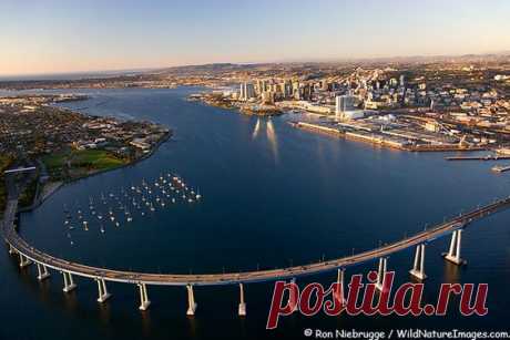 24 Hours In...San Diego - Hitha On The Go   |   Pinterest • Всемирный каталог идей