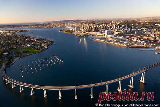 24 Hours In...San Diego - Hitha On The Go   |   Pinterest • Всемирный каталог идей