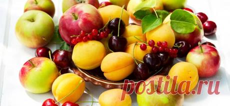 Холодные дожди. Как спасти растения от грибных болезней — интернет магазин товаров для сада и огорода ТД Лето 🌿