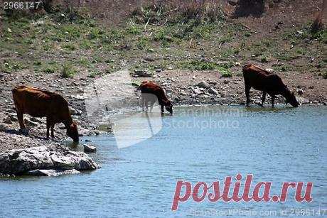 ScandinavianStockPhoto.com