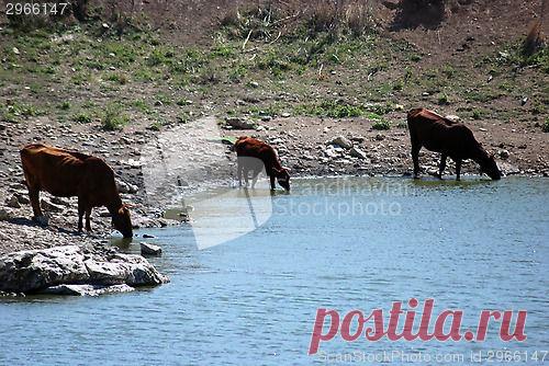 ScandinavianStockPhoto.com