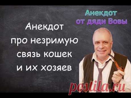 Анекдот про незримую связь кошек и их хозяев. Анекдоты от дяди Вовы.