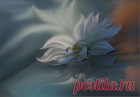 Душа - Стихи - Для души - Статьи - Школа радости