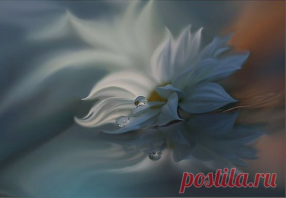 Душа - Стихи - Для души - Статьи - Школа радости