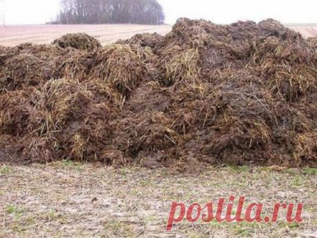 Удобряем огород навозом — БашАгроПласт