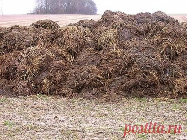 Удобряем огород навозом — БашАгроПласт