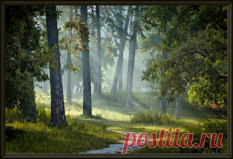 фото пейзажей природы художественное работы фотохудожников: 21 тыс изображений найдено в Яндекс.Картинках
