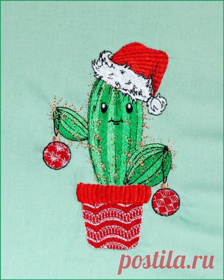 Christmas Cactus 1