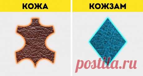 10 разновидностей натуральной кожи и как быстро отличить ее от кожзама