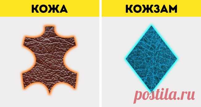 10 разновидностей натуральной кожи и как быстро отличить ее от кожзама