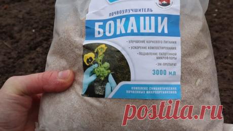 Навоз это прошлый век. Весной всего 1 ложка такого удобрения заменяет тележку коровьих лепешек. | Сад огород лайф. (Статьи) | Дзен