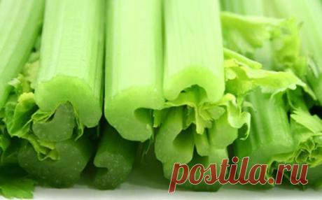 Зелень для здоровья.
1. Укроп. Считается, что укроп расширяет сосуды и снижает давление. Листья укропа содержат витамины В1, В2, С, РР, Р, а также каротин, фолиевую кислоту, соли железа, фосфора, кальция и калия. Укроп богат эфирными маслами.
2. Петрушка. Петрушку считают королевой среди всей ароматной зелени. Эта самая популярная и полезная пряность в мире. Нежный приятный аромат и целый комплекс витаминов, кальций, железо и фосфор делают петрушку незаменимой приправой для украшения стола и д