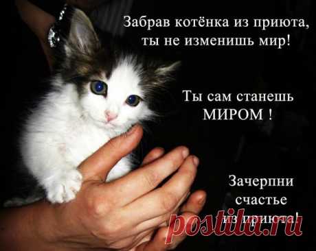 Анастасия-Александровна Разумовская-Волкова