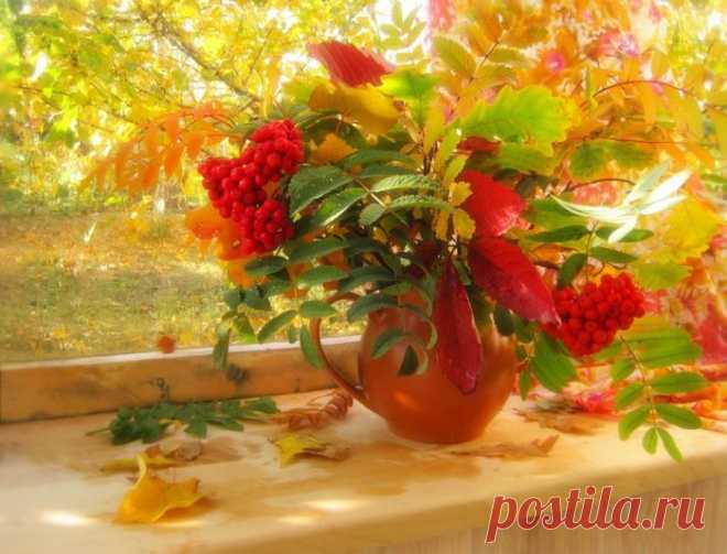 4869360_4563468_large.jpg (700×534)