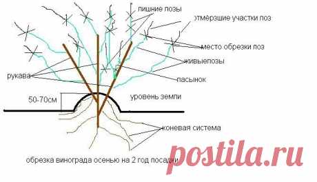 САДОВАЯ ФЕЯ - Дача. Сад и Огород