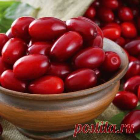 Ягоды, которые способны спасти от многих болезней! Они регенерируют организм с сумасшедшей скоростью - МирТесен
