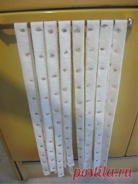 Правильный посев моркови на ленте и посадка на туалетной бумаге.