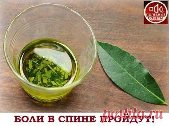 Мазь из лаврового листа для больной спины 
Именно остеохондроз является причиной боли в спине в 80% случаев 
Для тех, у кого застарелый остеохондроз, лучше любых мазей из аптеки помогают средства на основе лаврового листа. 
Вот отличные рецепты: 
1) Лавровое масло. 
Залить стаканом оливкового масла 1 ст. ложку мелко нарезанных лавровых листьев и настаивать 15 дней в теплом месте. Лучше всего втирать масло в больные места на ночь, а потом тепло укутываться. 
2) Настой. 
Взять 1 ч. ложку и