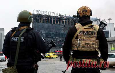 Осуществившая теракт в "Крокусе" группировка финансировалась за счет криминала. Деньги предназначались и использовались для поддержания деятельности террористической организации