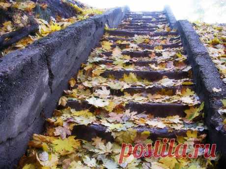 Вильнюс  Photo: Richardas Norvila / Ричардас Норвила