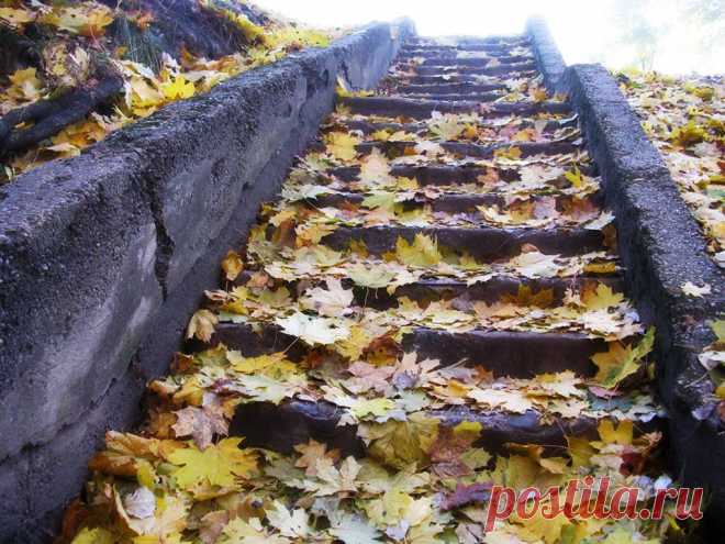 Вильнюс  Photo: Richardas Norvila / Ричардас Норвила