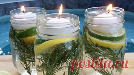 Больше никакого надоедливого жужжания и укусов: натуральное средство для борьбы с насекомыми.