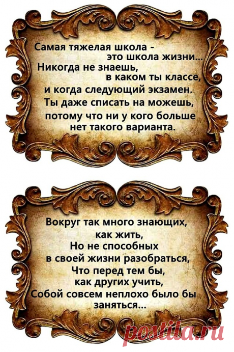 (5) Одноклассники