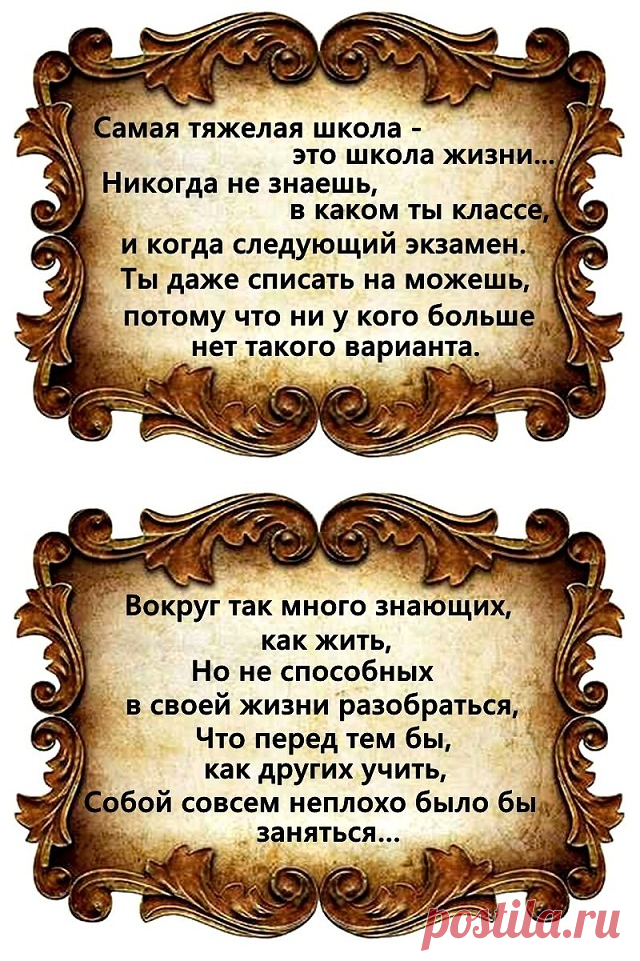 (5) Одноклассники