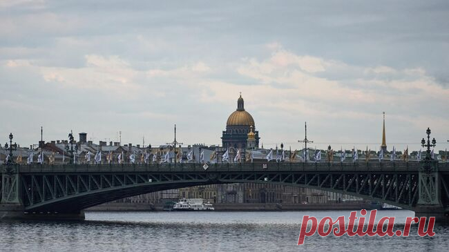 В Петербурге раскрыли группу мошенников, укравших более 15 миллионов рублей