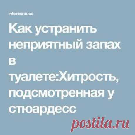 Как устранить неприятный запах в туалете:Хитрость, подсмотренная у стюардесс