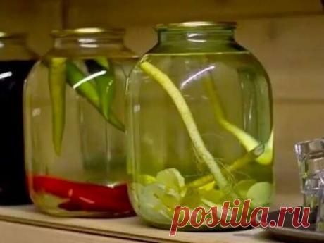 Хреновуха — вкусно и полезно — Дачный участок