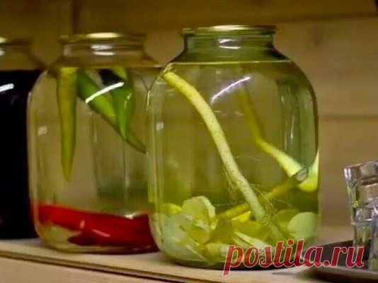 Хреновуха — вкусно и полезно — Дачный участок