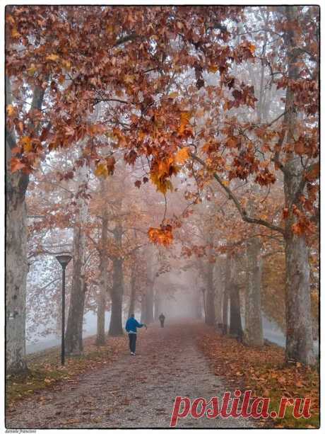 (14) Pinterest