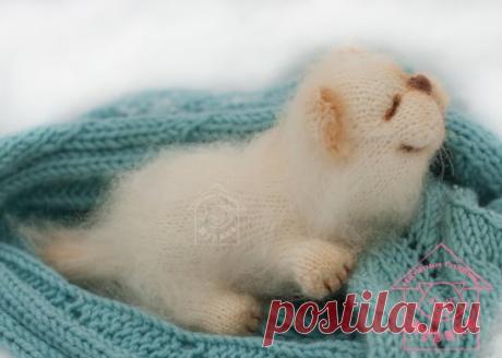 (4) Одноклассники