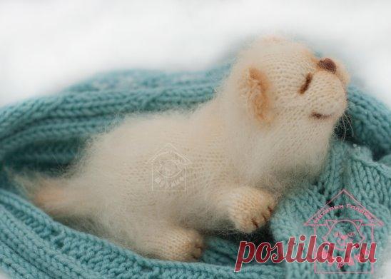 (4) Одноклассники