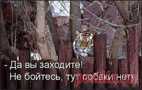 Картинки, которые мне понравились