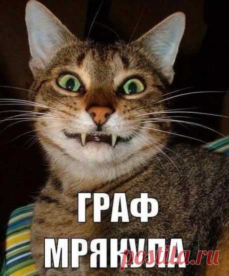 АрЫстократ...
