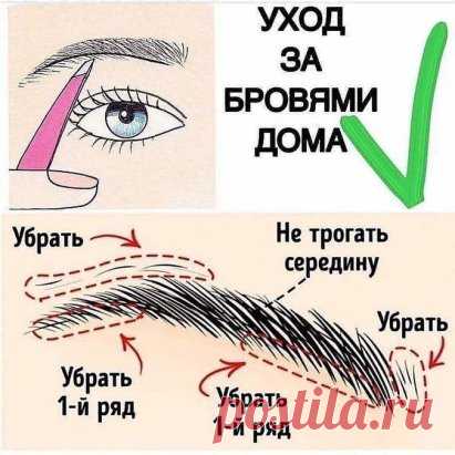 Ухаживаем за бровями, не выходя из дома