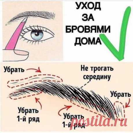 Ухаживаем за бровями, не выходя из дома