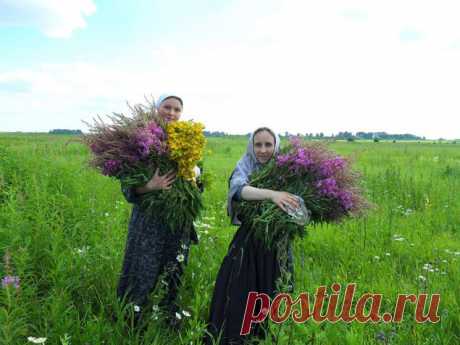 Травяные старорусские чайные сборы.

Домашний чай из травы! Предки наши знали в нем толк!
Не все травы "дышат в лад", то есть не все травы для чая, как и для лечебного сбора, можно соединять вместе; надо знать точные мерки, точное соотношение трав в сборе; есть травы, которые добавляются для "крепости духа" чая, для улучшения его вкуса, для отбивания нежелательного привкуса, и, наоборот, есть травы и сборы, нуждающиеся в таких добавках.

Если среди летнего благоухания трав...