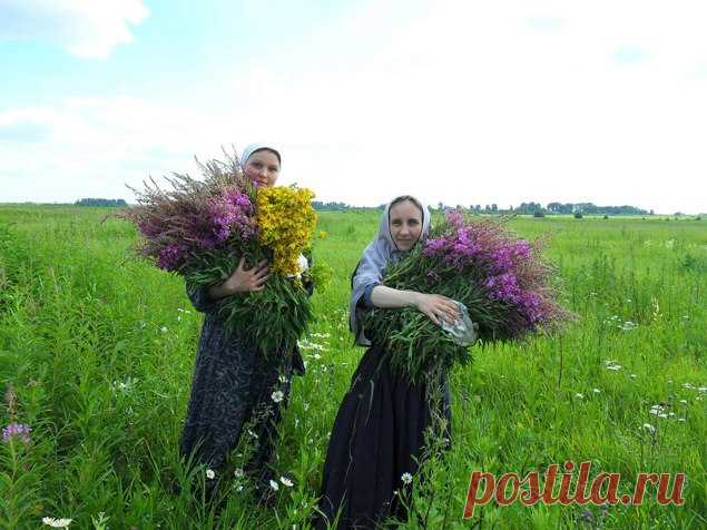 Травяные старорусские чайные сборы.

Домашний чай из травы! Предки наши знали в нем толк!
Не все травы 