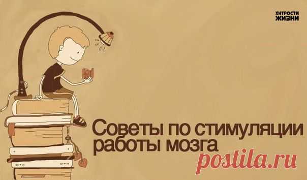 Хитрости жизни