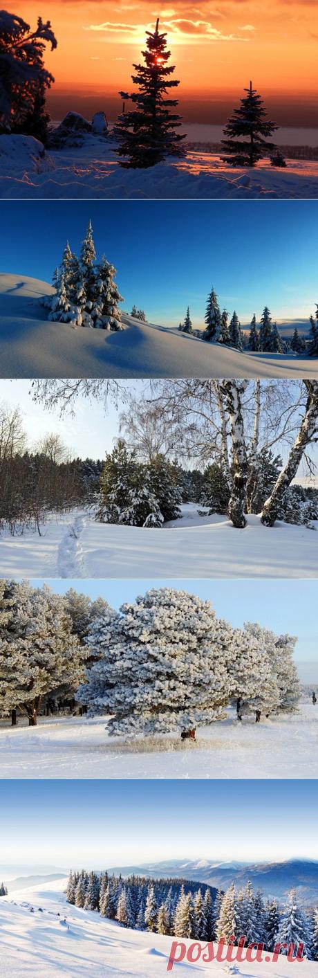 Снежные пейзажи зимы A. - Вид из окна